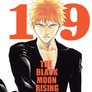 Bleach 19 - The Black Moon Rising