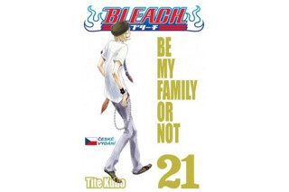 Bleach 21 - Tite Kubo