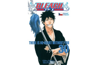 Bleach 30 - Tite Kubo