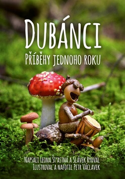 Dubánci Příběhy jednoho roku - Petr Václavek,Leona Šťastná,Slávek Rydval