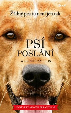 Psí poslání Žádný pes tu není jen tak - W. Bruce Cameron