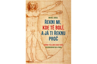 Řekni mi, kde tě bolí, a já ti řeknu proč - Michel Odoul