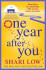 One Year After You - Low Shari